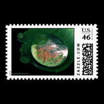 Rejuvenated Spirit - Postage postage