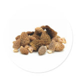 rel Mushroom Round Sticker