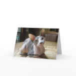 Relationship greeting cards