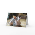 Relationship greeting cards