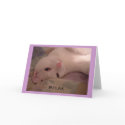 Relax cards