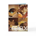 Relax