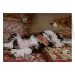 RELAX! GREETING CARDS