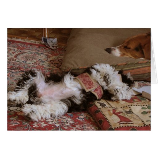 RELAX! GREETING CARDS
