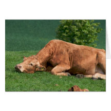 Relax, Life is too short Greeting Cards