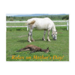 Relax on Mother's Day! Post Cards