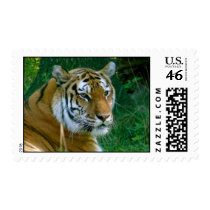 "Relax" Postage Stamp