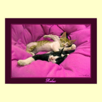 Relax posters
