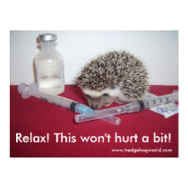 Relax! poster posters by hedgehogworld Relax! poster posters