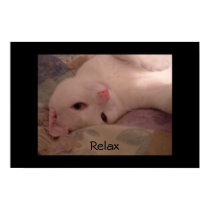 Relax posters