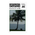 Relax under the Palms postage by TRIPINTRISH Relax under the Palms postage