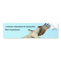 Relaxation tranquility impatience Bumper Sticker