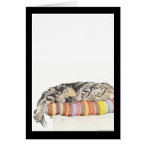 Relaxed Cat Card
