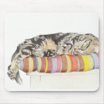 Relaxed Cat Mousepad