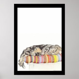 Relaxed Cat print