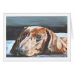 Relaxed Dachshund Cards