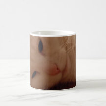 Relaxed Kitty Coffee Mugs