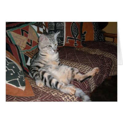 african pictures card