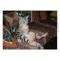 Relaxing African Style cards