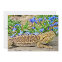 Relaxing Bearded Dragon Invite