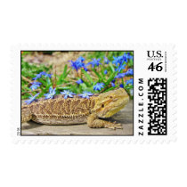 Relaxing Bearded Dragon Stamp