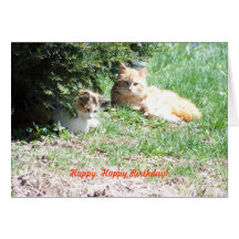 Relaxing Birthday, Cats & Cake Card