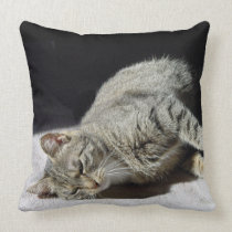 Relaxing Cat pillows