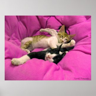 Relaxing cute baby kitten on pink pillow print