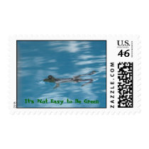 Relaxing frog, It's Not Easy to Be Green postage