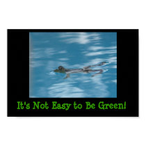 Relaxing frog posters