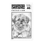 Relaxing Lhasa postage