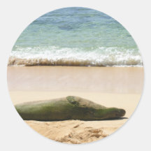 Relaxing Monk Seal Sticker