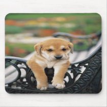 Relaxing mousepads by PetsRFouRLife Relaxing mousepads