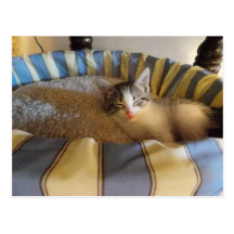 Relaxing postcard