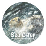 Relaxing SEA OTTER Art Series I Stickers