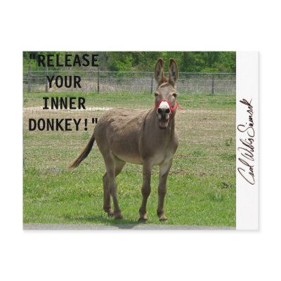 "RELEASE YOUR INNER DONKEY!" POSTCARD by simsak
