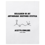 Released Autonomic Nervous System Acetylcholine flyers
