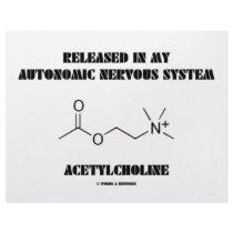 Released Autonomic Nervous System Acetylcholine Letterhead