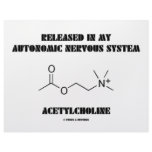 Released Autonomic Nervous System Acetylcholine Letterhead
