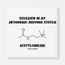 Released Autonomic Nervous System Acetylcholine Fridge Magnet
