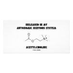 Released Autonomic Nervous System Acetylcholine Photo Cards