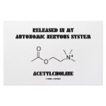 Released Autonomic Nervous System Acetylcholine Stationery Design