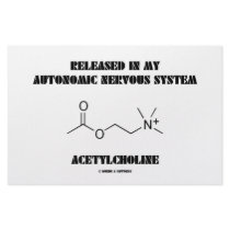 Released Autonomic Nervous System Acetylcholine Stationery Design