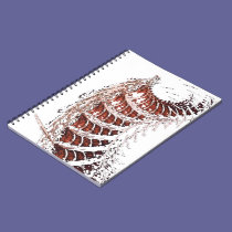 Relic notebooks