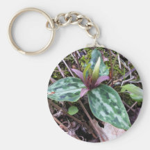 Relict trillium, endangered, Trillium reliquum Key Chain