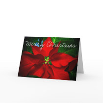 Religious Christmas Card by Ridgrnr76 Religious Christmas Card