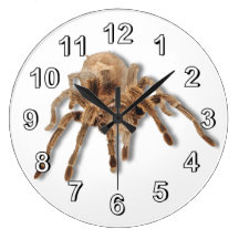 Reloj de pared llano del Tarantula