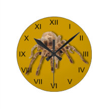 Reloj de pared llano del Tarantula