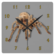 Reloj de pared llano del Tarantula