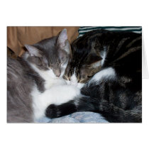 Rema and Syrus Card 001